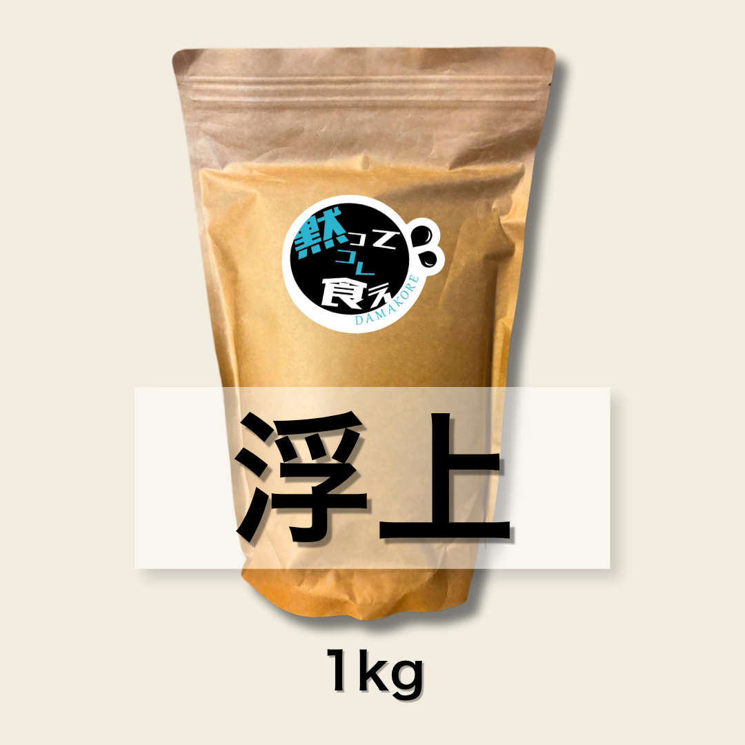 錦鯉専用えさDAMAKOREシリーズ「浮上」
