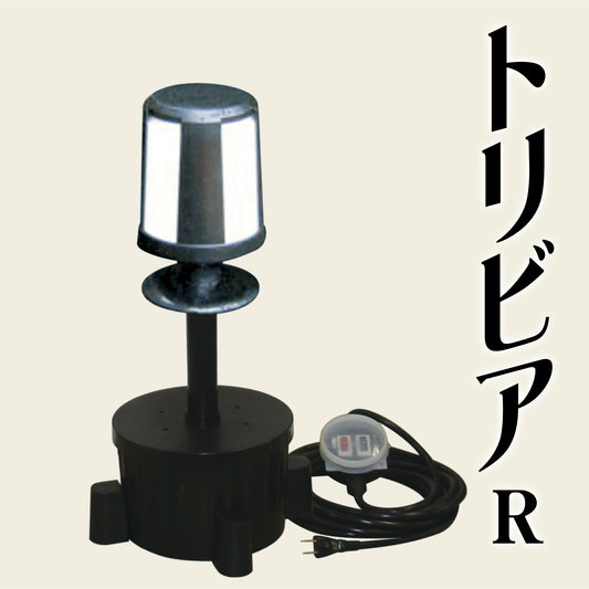 【トリビアR】